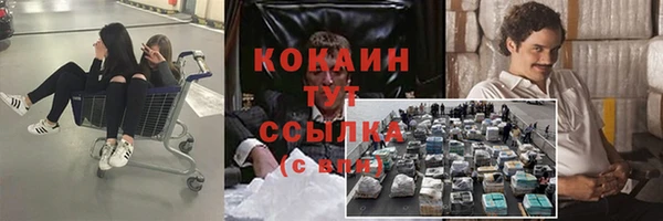 мет Алзамай