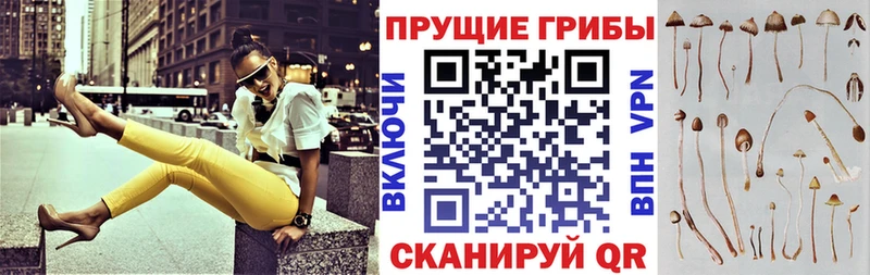 Псилоцибиновые грибы Magic Shrooms  наркотики  Мураши 